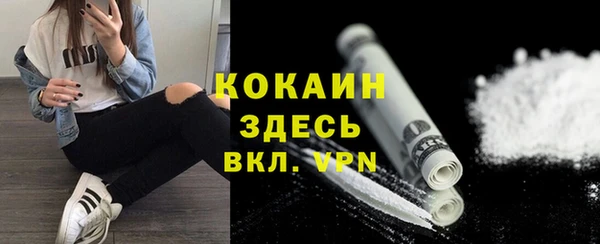 эйфоретик Арсеньев