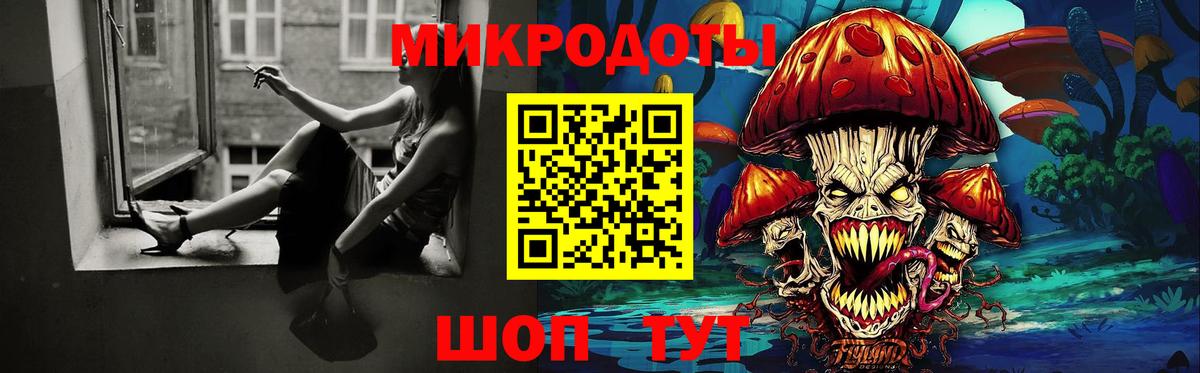 Псилоцибиновые грибы Psilocybe Балашиха